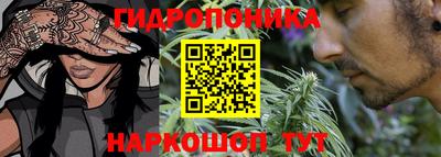 твердый Краснознаменск