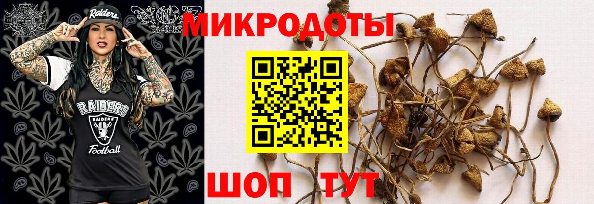 Псилоцибиновые грибы Psilocybe  Вход с VPN  Галлюциногенные грибы MAGIC MUSHROOMS  Шарыпово 