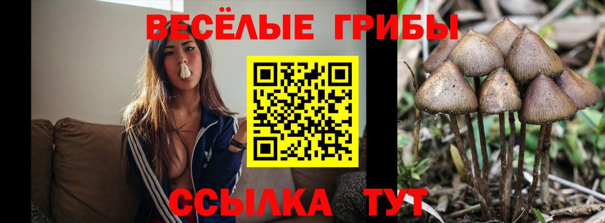 Галлюциногенные грибы ЛСД Шарыпово